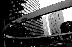 Tokyo1058-新宿『輪』