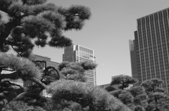 Tokyo136