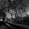 ROMA『テヴェレ川沿い』