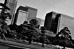 Tokyo998-丸の内『皇居側から』