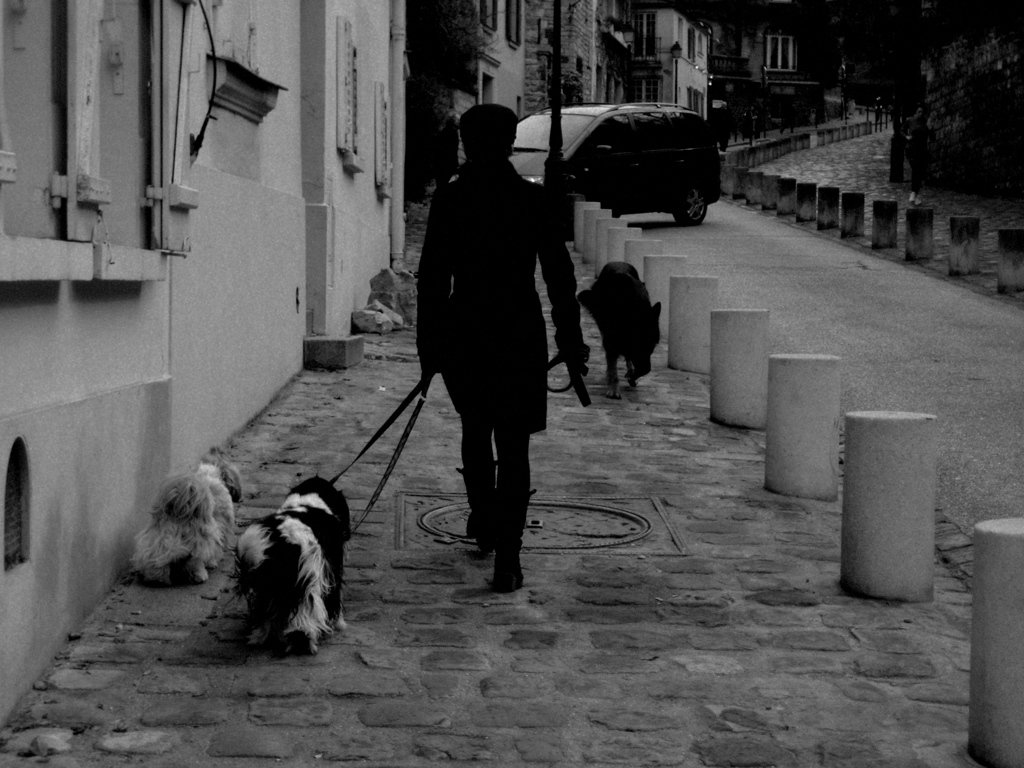 PARIS『モンマルトルのマダムと犬たち）