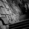 Tokyo1134-調布『境内』