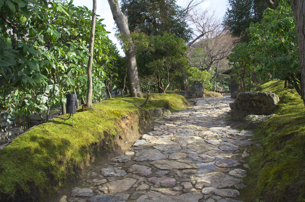 Kyoto14