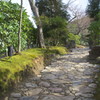 Kyoto14