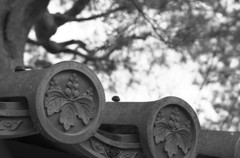 Kyoto17