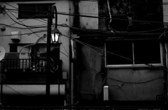 Tokyo362