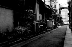 Tokyo559-深川 『路地』