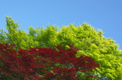 Trip to Kamakura39