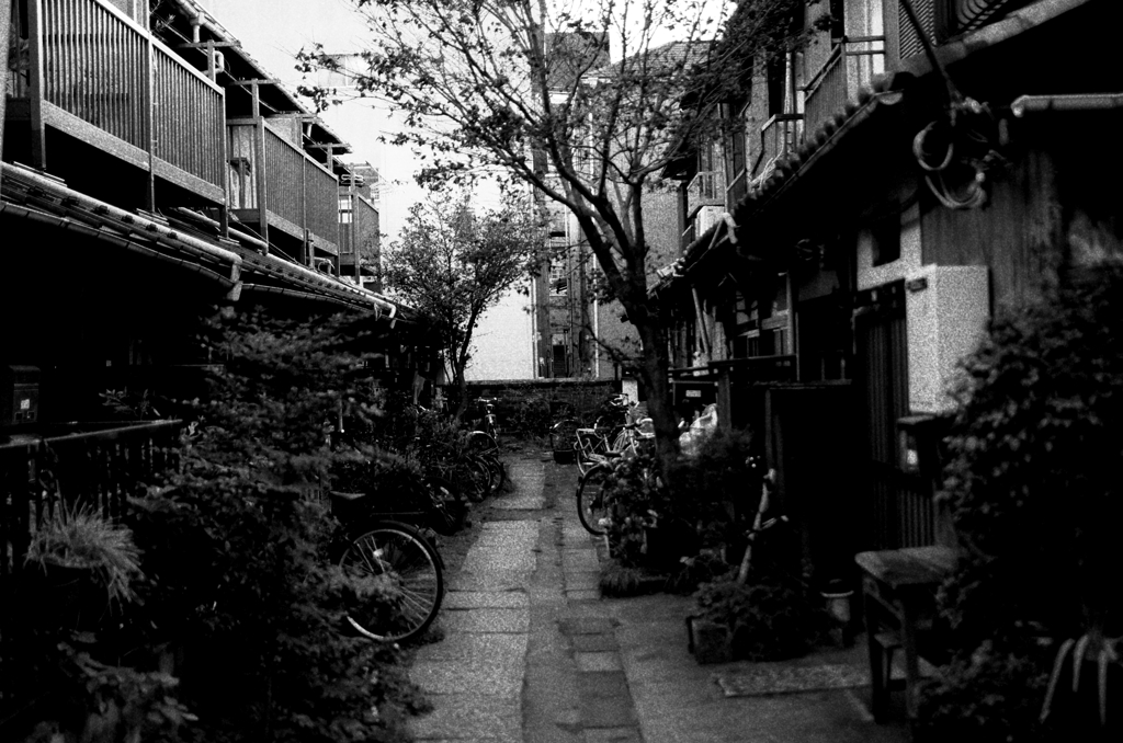 本郷『長屋since明治』