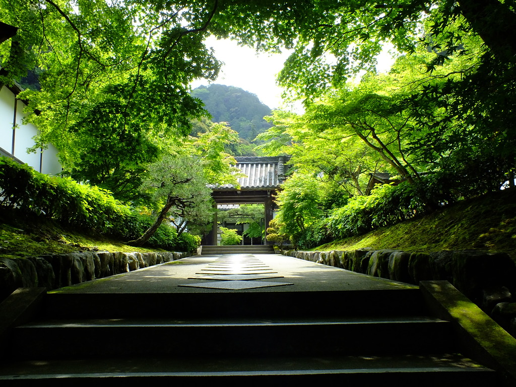 Kyoto3