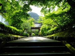 Kyoto3
