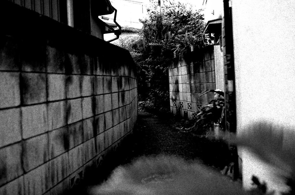 Tokyo864-西新宿 『路地』
