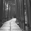 Tokyo121