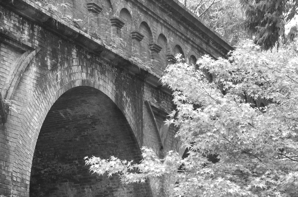 Kyoto35
