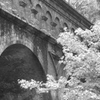 Kyoto35
