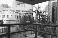 Tokyo157