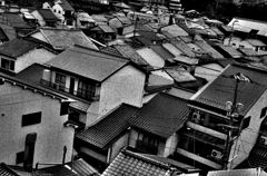 Hiroshima129-宮島『宮島の生活』