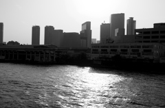 Tokyo219