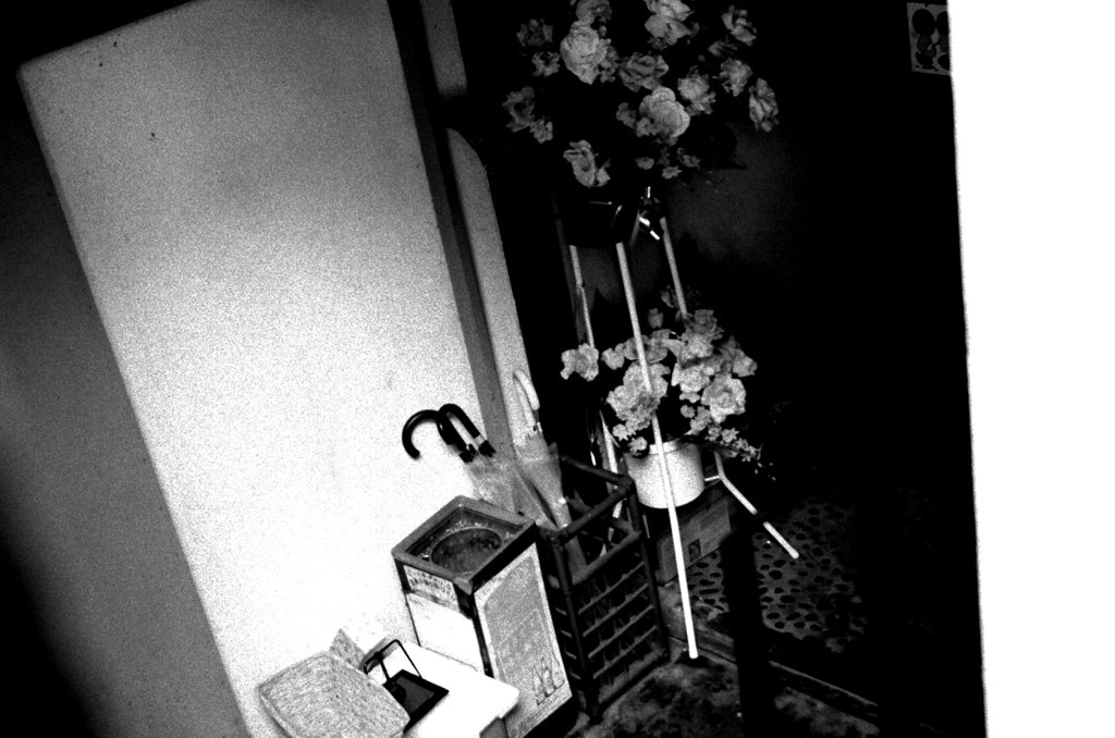 Tokyo586-新宿 『昨日の祝い花』