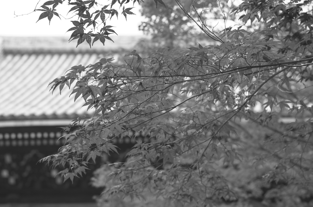 Kyoto32
