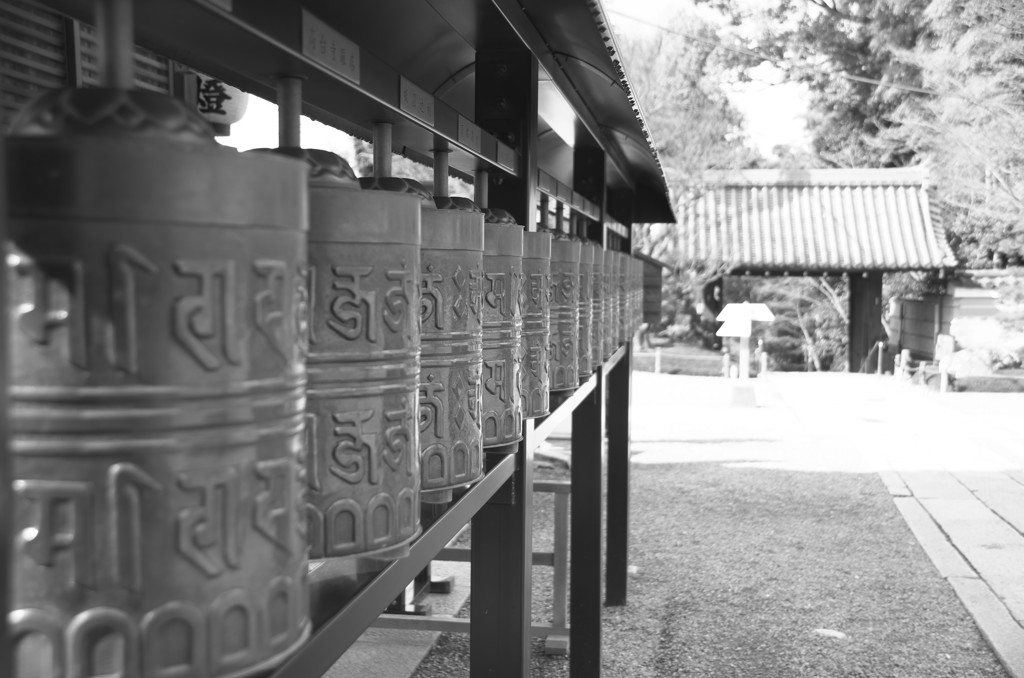 Kyoto21