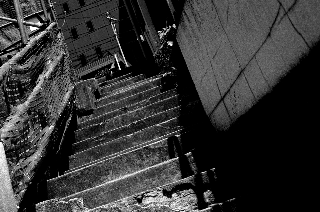 Tokyo588-新宿 『階段』