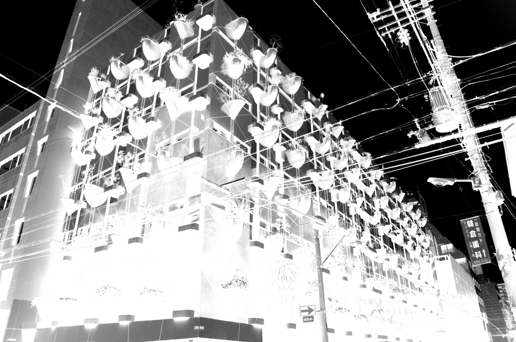 試験駅作品-オーガニックビル（Osaka)