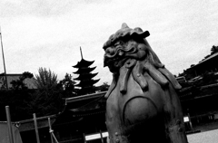 Hiroshima113-宮島『獅子』