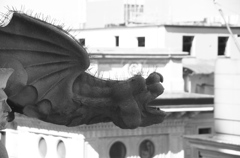 Milan21
