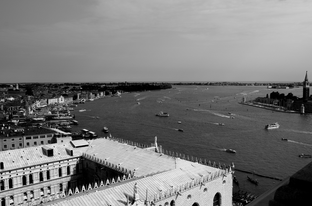 Venezia77
