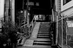 Tokyo406-Yoyogiuehara