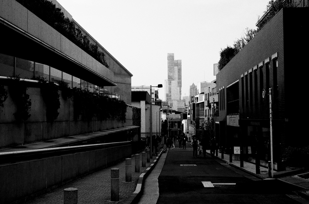 Tokyo404-Harajuku