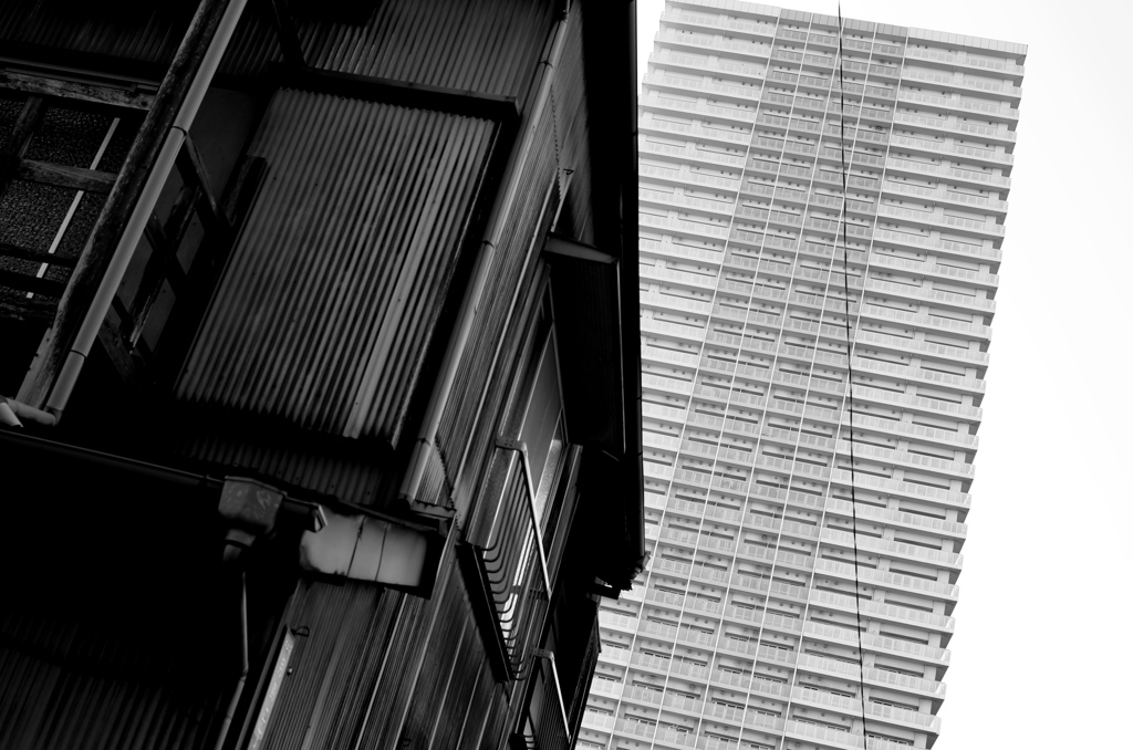 Tokyo215