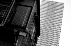 Tokyo215