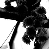 Tokyo917-新宿 『Sunflower』