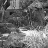 Kyoto28