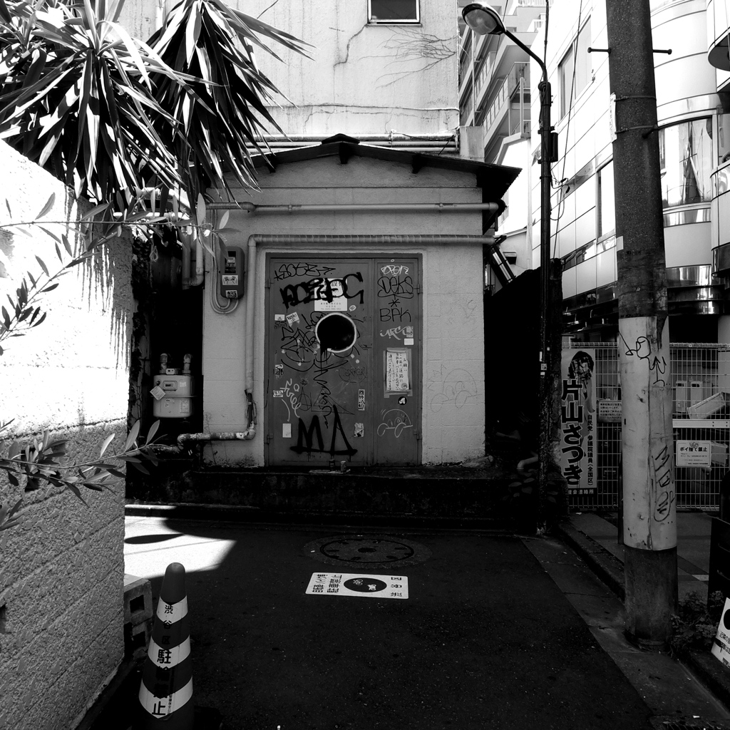 Tokyo291