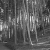 Kyoto19