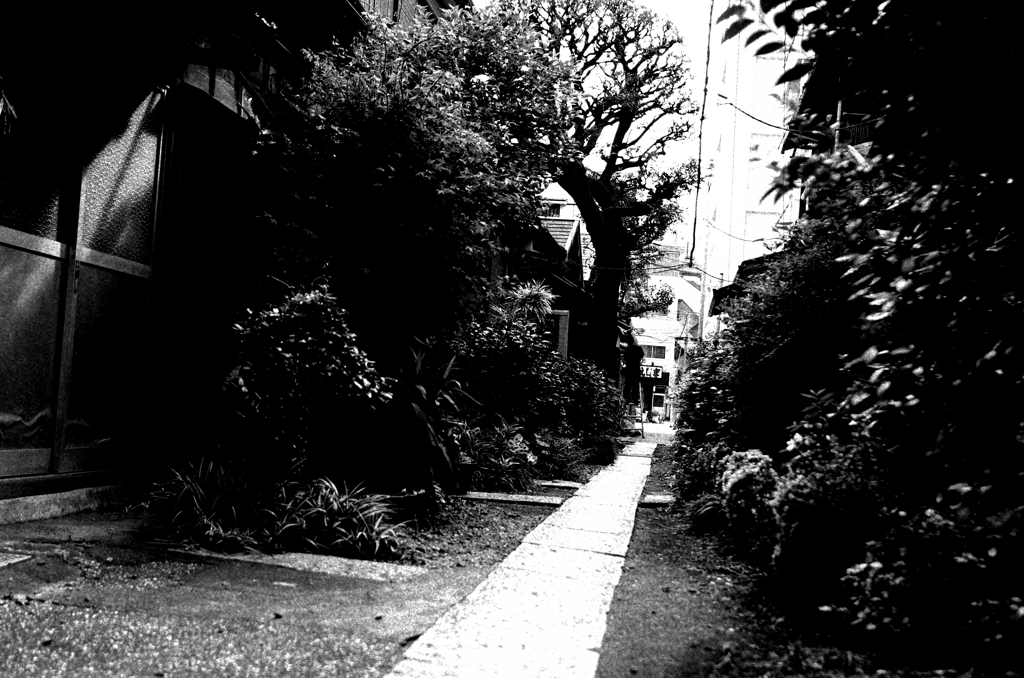 Tokyo816-品川  『裏路地』