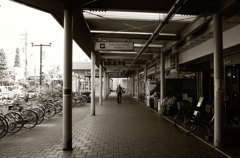 Tokyo246