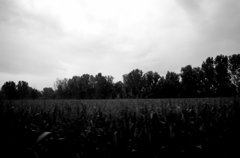 Padova～Rossano Veneto2