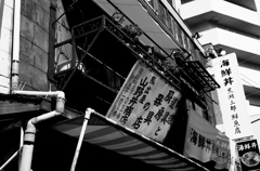 Tokyo203
