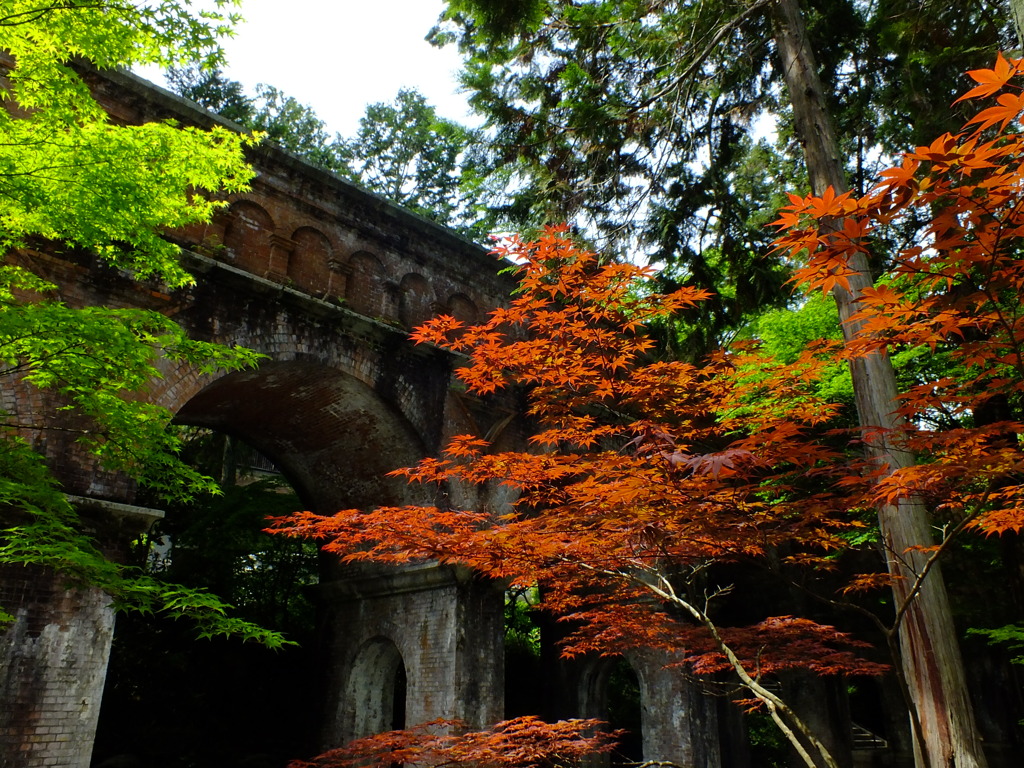 Kyoto2