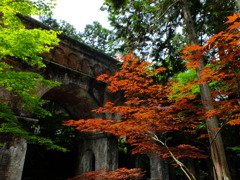 Kyoto2