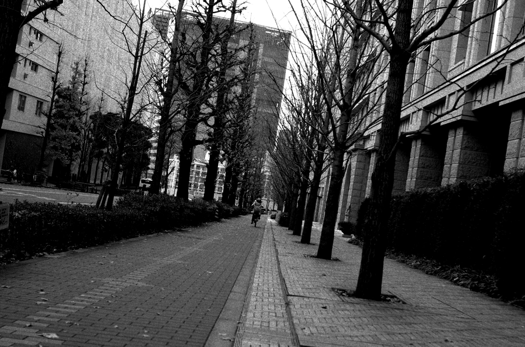 五反田『歩道』