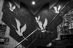 Nagoya6