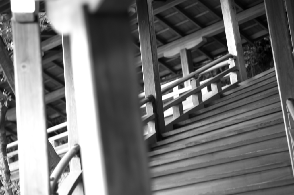 Kyoto29