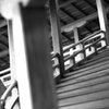 Kyoto29
