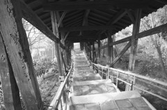 Kyoto18