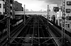 Tokyo305